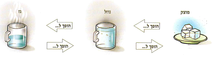 (בספר שתי תמונות)